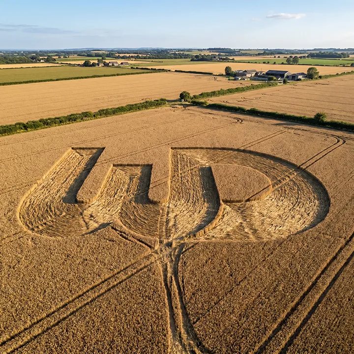 Aerial view of a massive crop circle in a wheat field shaped like the Womp Designs logo.